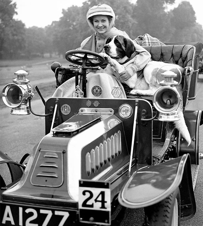 Susie the dog and Sheridan in 1952 Susie the dog and Sheridan in 1952