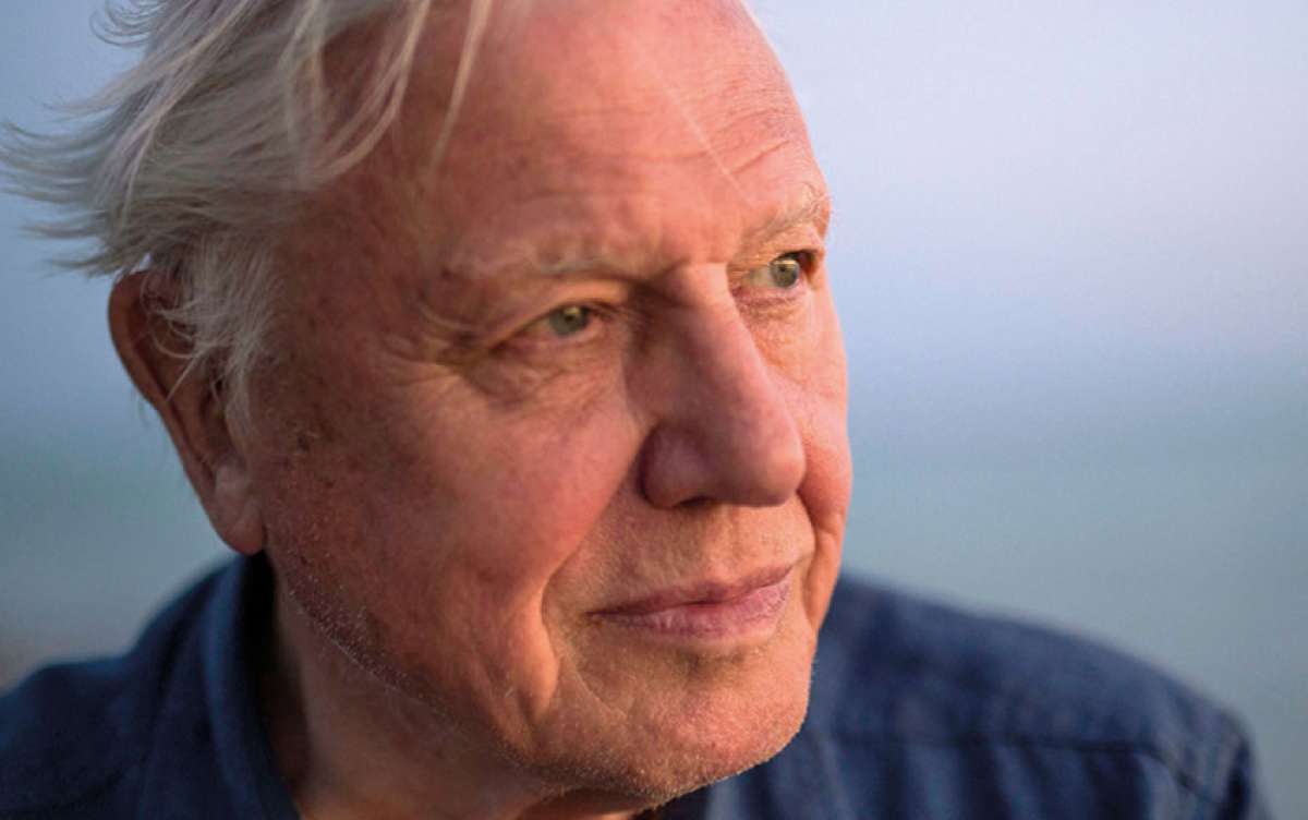 ‘I’m a hopeless traveller’ - David Attenborough at 100