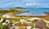 Extracts from Treasure islands - Tanya Gold