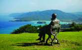My Jamaican holiday with the Master - Gyles Brandreth