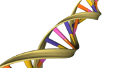 What is DNA printing? Should you be worried? By Richard Godwin