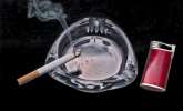Joy of smoking – occasionally - Mark Palmer