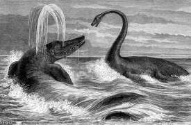 King of the Dorset fossil-hunters - Harry Mount