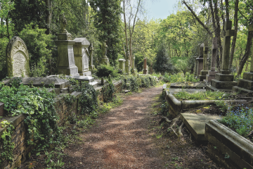 Burial grounds. By Liz Thompson